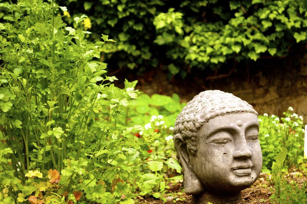 Romantik Hotel Villa Sayn 本多夫 外观 照片